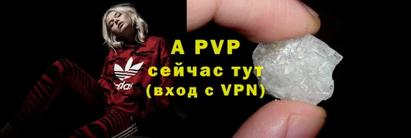 амф Богданович
