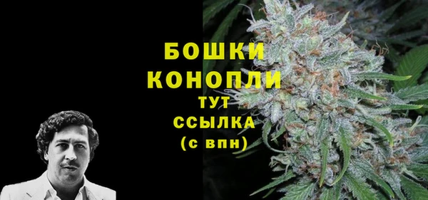трава Беломорск