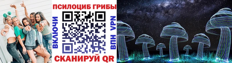 kraken как зайти  Верхняя Тура  Галлюциногенные грибы GOLDEN TEACHER  наркошоп 